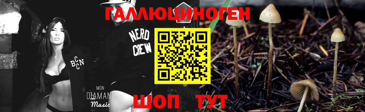 Галлюциногенные грибы MAGIC MUSHROOMS Углич